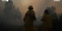 Incendi boschivi in Messico: i vigili del fuoco combattono contro le fiamme. In fumo 12mila acri – Video