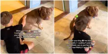 “Mio figlio Waylon è autistico ed è sempre rimasto indifferente alla nostra cagnolina. Fino a quando è avvenuto un dolcissimo miracolo”: la storia è virale