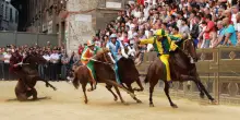 Palio di Siena, oggi la corsa dell’Assunta: Leocorno e Civetta favorite, attesi Madonna e Sting. Ecco tutto quello che c’è da sapere e come seguirlo in tv