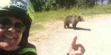 Siamo noi a dover rispettare gli animali selvatici