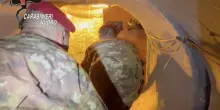 Scoperta una piantagione di marijuana in un bunker sotterraneo nel Nuorese: arrestati padre e figlio