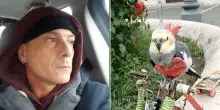 “Umiliato e trattato come un mostro, non ho mai maltrattato il mio Pippi Pippi”: Aldo Orabona multato per aver messo la pettorina al pappagallo