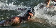 Mondiali di nuoto Singapore 2025, infinito Paltrinieri: vince l’argento nella 10 km