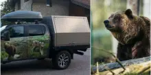 L’orsa JJ4 trasferita in Germania: andrà nel parco della Foresta Nera. Nel 2023 l’aggressione mortale a Andrea Papi
