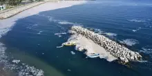 Posidonia sbiancata, moria di mitili e mucillagine: il Mediterraneo è diventato un hotspot climatico
