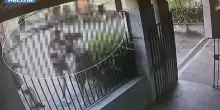 Turista statunitense accoltellato su un treno regionale a San Giuliano Milanese: due fermi. Il video