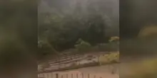 Alluvione lampo in Val Passiria, fiume di fango esonda e spazza via un ponte a San Martino – Video