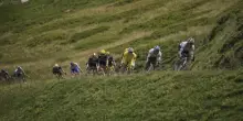 Clamoroso al Tour de France: tappa accorciata per un’epidemia in allevamento bovino