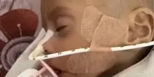 Gaza, Zainab Abu Halib morta a 5 mesi per malnutrizione: “Pesava 2 kg invece di 5”