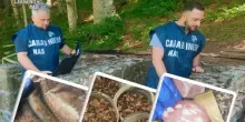 Carne scaduta da 20 anni, escrementi di topo e conserve a rischio botulino: 700 kg di cibo sequestrati nei rifugi emiliani