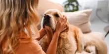 “Sono malata e il mio cane mi ha salvato otto volte, ma mio marito e i miei figli sono gelosi del nostro rapporto”: lo sfogo di una donna su Reddit