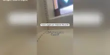 Ragazza fuori sede cacciata di casa: “Sei una terrona di me**a”. La video-denuncia dell’Udu: “Inaccettabile”