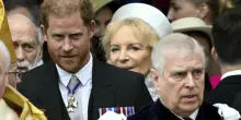 “Il principe Harry ha sferrato un pugno in faccia allo zio Andrea perché aveva sparlato di lui”: la bomba è stata sganciata dallo scrittore Andrew Lownie