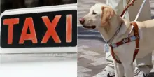 “Niente cani sul mio taxi”, non vedente chiama la Polfer ma il tassista non cede