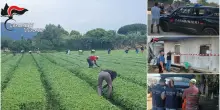 Caporalato, controlli dei carabinieri su 900 aziende agricole: più della metà sono risultate irregolari