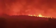 Spagna, roghi fuori controllo nel nordovest: devastati 115 mila ettari di boschi