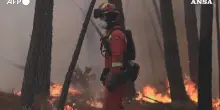 Incendi in Spagna, le fiamme avvolgono i boschi: enormi nuvole di fumo visibili dall’alto. Le impressionanti immagini