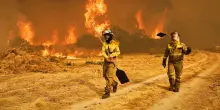 Spagna, dai rifugi climatici all’agricoltura generativa: Sánchez propone un “Patto di Stato” per affrontare l’emergenza climatica