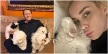 “Se imparassimo ad amare gli animali come meritano, saremmo molto vicini a Dio”: Marta Fascina ricorda Silvio Berlusconi e il suo amore per i cani su Instagram