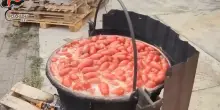 Bologna, conserve e succhi di frutta a rischio botulino: maxi-sequestro in un’azienda agricola – Video
