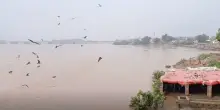 Pakistan, inondazioni in Punjab: vittime e 265.000 evacuati – Il video