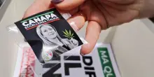 Cannabis light, il bluff del decreto Sicurezza: “Sequestri in calo, ma imprenditori spaventati”. 3 su 10 hanno chiuso bottega