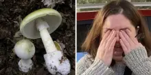 Ha avvelenato gli ex suoceri e la zia dell’ex marito con un pranzo a base di funghi velenosi: condanna all’ergastolo per Erin Patterson