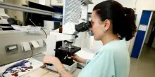 Melanoma: diagnosi raddoppiate in 20 anni. “Una campagna di prevenzione sistematica può salvare vite e ridurre i costi per la sanità”