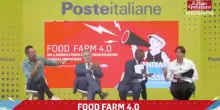 Festa del Fatto Quotidiano al Circo Massimo, rivedi l’incontro Food Farm 4.0