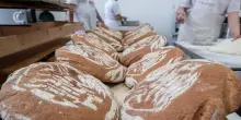 Sindaco perde il suo lavoro a un anno dalla pensione, assunto in una panetteria