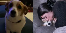 “Amorevole e discreta, ci mancherai da morire”: è morta Aspirina, la cagnolina di Ignazio Moser e Cecilia Rodriguez