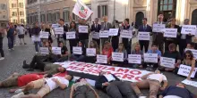 Flash mob del Pd a sostegno di Gaza in Piazza Montecitorio: “Il governo Meloni deve agire”