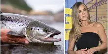 Cos’è (e quanto costa) il “Salmon sperm facial”, il nuovo trattamento di bellezza con il Dna estratto dagli spermatozoi di salmone amato dalle star