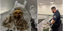 “Aveva un teschio e delle ossa umane in valigia, diceva che erano per dei rituali”: la scoperta choc alla dogana in aeroporto
