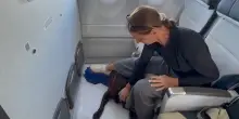 I primi cani oltre i dieci chilogrammi in cabina sul volo Ita: il video coi loro amici umani