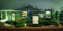 Piazza del GCC Pokémon Pocket: a Roma una mostra pop-up dedicata alla versione digitale delle carte Pokémon