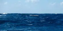 Naufragio nel Canale di Sicilia, nove morti: sette in mare, due a bordo della nave umanitaria che li ha soccorsi