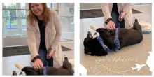“Il mio cane Opie è scomparso durante una tempesta, tre mesi dopo l’abbiamo trovato a 3000 chilometri di distanza. Ora sono sicura di una cosa”: la storia di Ciara