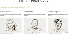 Premio Nobel per la Medicina a Mary E. Brunkow, Fred Ramsdell e Shimon Sakaguchi per le ricerche sul sistema immunitario