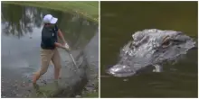 “C’è un alligatore nell’acqua”: il golfista Vince Whaley gioca accanto al grande predatore  – VIDEO
