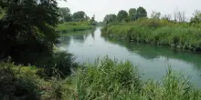 Trovato il cadavere di una donna nel fiume Sile (Treviso), le indagini dei carabinieri