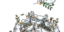 Arriva la pace?