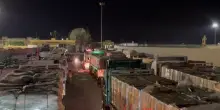 Camion di aiuti in coda al valico di Rafah: a bordo cibo, carburante e forniture mediche per Gaza | Video