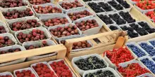 Meno cibo e sempre più caro: così la crisi climatica minaccia la sicurezza alimentare europea
