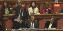 Gaza, Boccia (Pd): “Tajani burocratico, si tratta di tregua e non di pace. Il governo Meloni riconosca la Palestina”