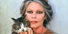 Brigitte Bardot è stata operata d’urgenza “per una grave malattia”. Le condizioni restano “preoccupanti”