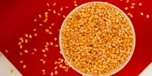 Mais per popcorn richiamato per “possibile presenza di alcaloidi del tropano”: i prodotti a rischio