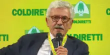 D’Alema: “Se i cittadini non votano più, l’Occidente curi le proprie democrazie prima di fare la guerra agli autocrati”