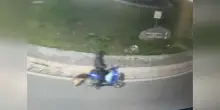 Trascina il cane con una catena a strozzo per sei chilometri sull’e-bike: denunciato dog sitter nel Napoletano