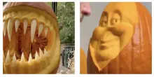 Come scegliere la zucca perfetta da decorare per Halloween? Lo spiega un intagliatore di zucche: “Ecco gli indicatori chiave”